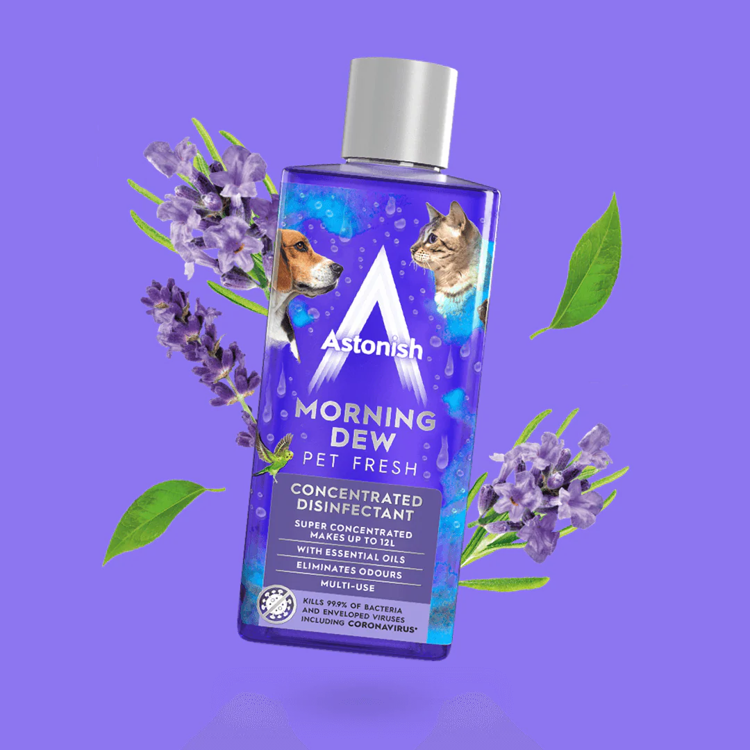Concentrated Disinfectant Morning Dew - Image 4