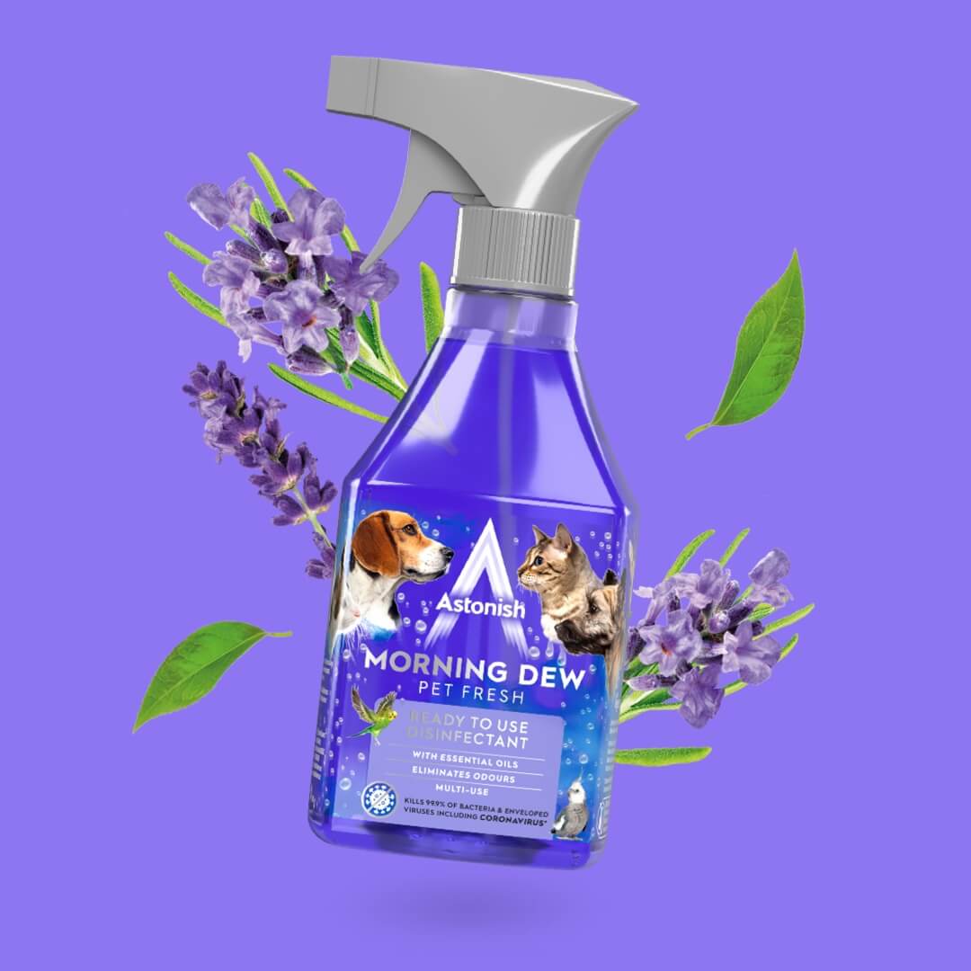 Ready to Use Disinfectant Spray Morning Dew - Image 4